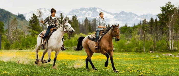 Confident plus-size woman riding Central Milton Keynes a horse through a field with a smile on her face.